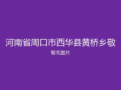河南省周口市西华县黄桥乡敬