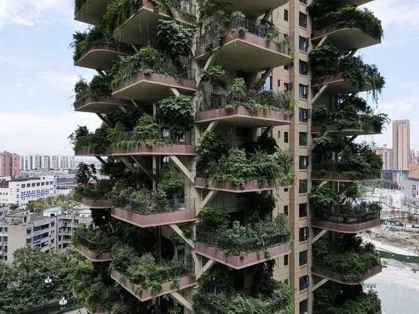 河南省周口市太康县龙曲镇敬老院