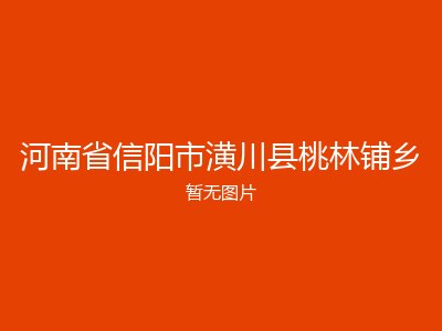 河南省信阳市潢川县桃林铺乡