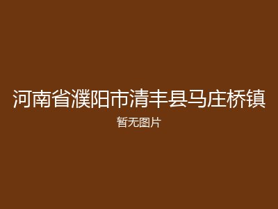 河南省濮阳市清丰县马庄桥镇