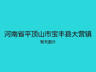 河南省平顶山市宝丰县大营镇