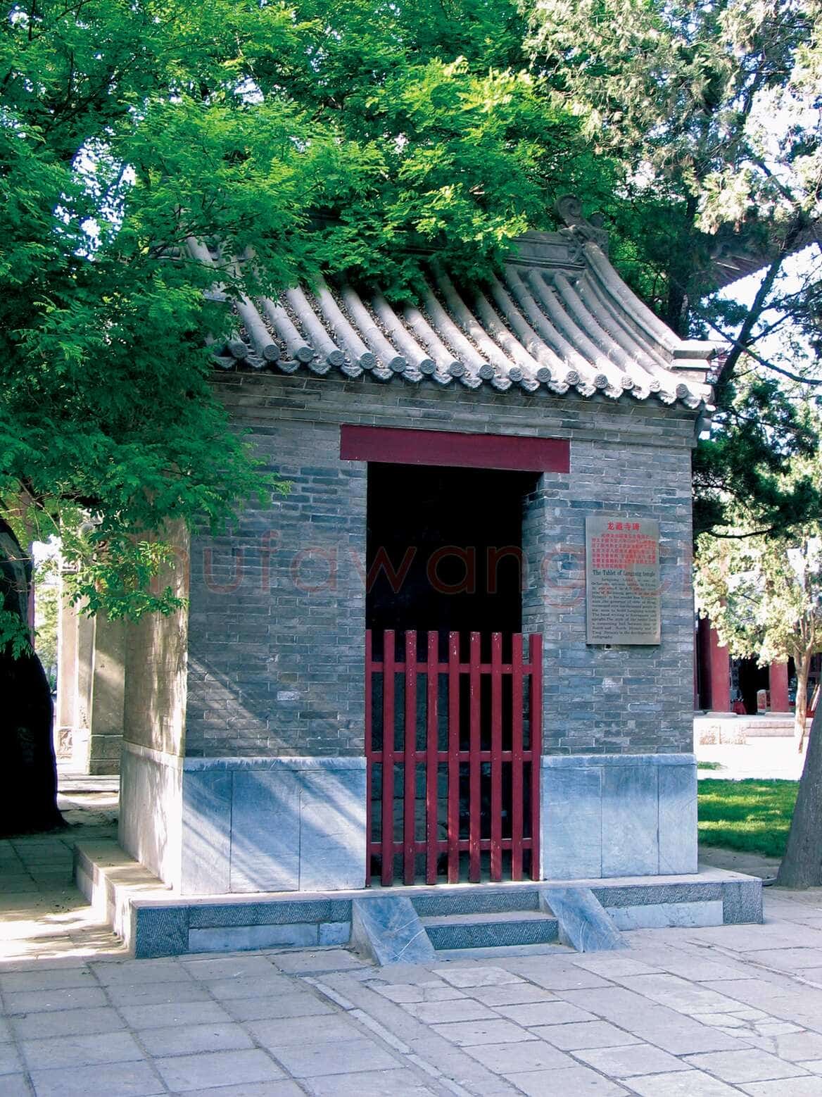 河南省南阳市镇平县张林乡敬