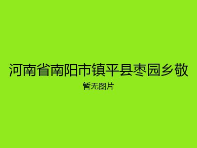 河南省南阳市镇平县枣园乡敬