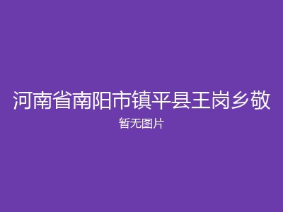河南省南阳市镇平县王岗乡敬