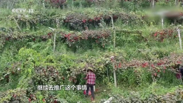 河南省南阳市西峡县双龙镇敬老院