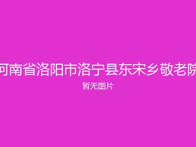 河南省洛阳市洛宁县东宋乡敬老院