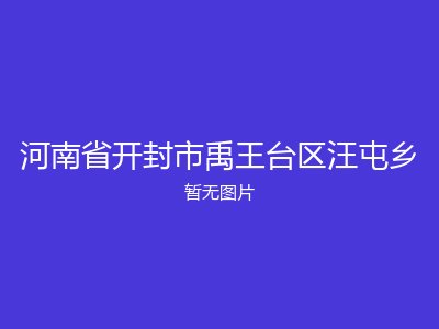 河南省开封市禹王台区汪屯乡