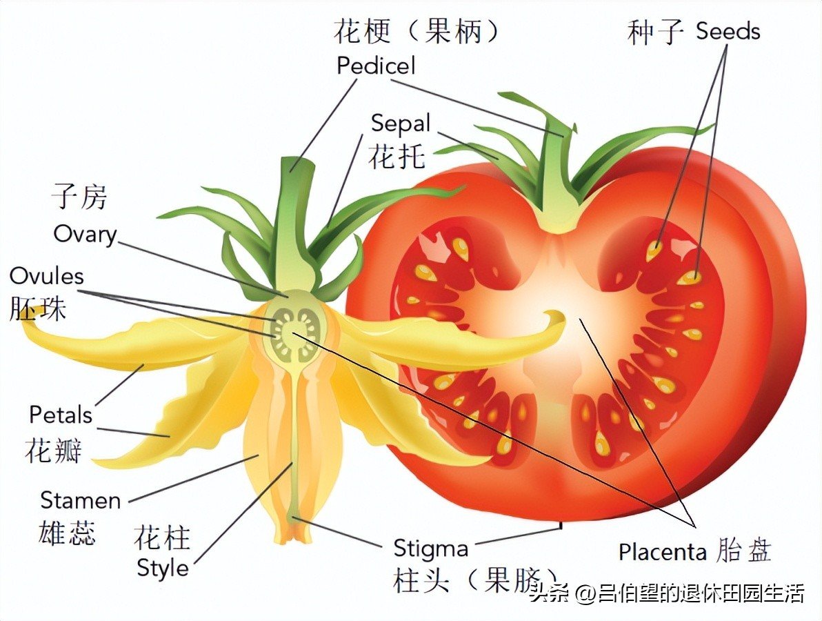 河南省焦作市沁阳市王召乡敬