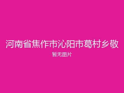 河南省焦作市沁阳市葛村乡敬