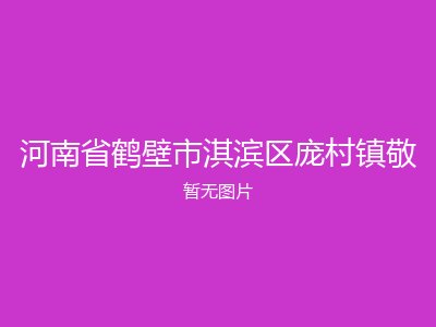 河南省鹤壁市淇滨区庞村镇敬