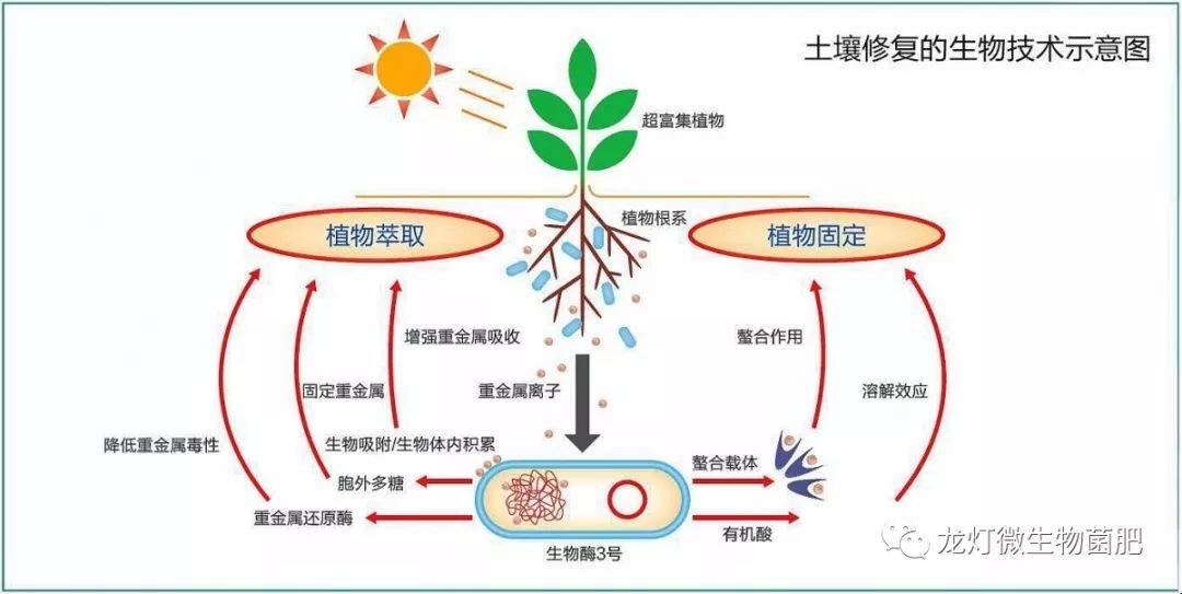 河北省张家口市尚义县小蒜沟镇敬老院