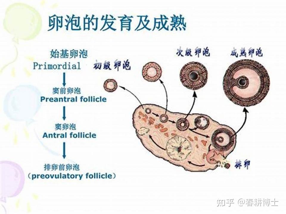 新疆巴音郭楞州博湖县农村中