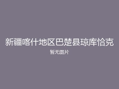 新疆喀什地区巴楚县琼库恰克