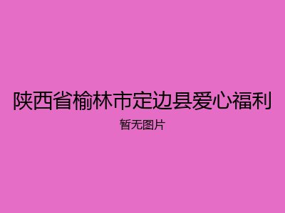 陕西省榆林市定边县爱心福利