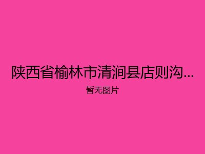 陕西省榆林市清涧县店则沟镇敬老院