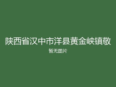 陕西省汉中市洋县黄金峡镇敬