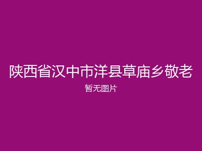 陕西省汉中市洋县草庙乡敬老
