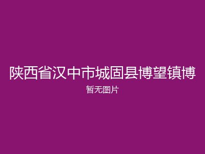 陕西省汉中市城固县博望镇博