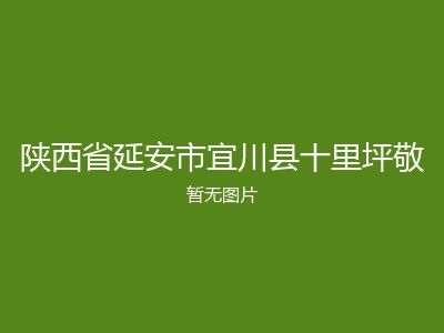 陕西省延安市宜川县十里坪敬