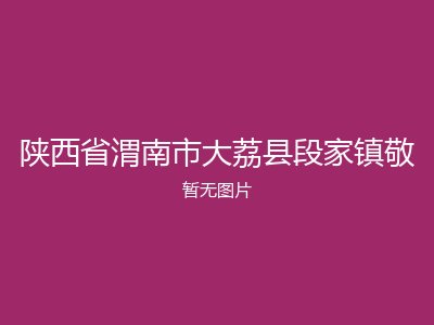 陕西省渭南市大荔县段家镇敬