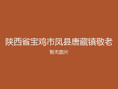 陕西省宝鸡市凤县唐藏镇敬老