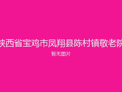 陕西省宝鸡市凤翔县陈村镇敬老院