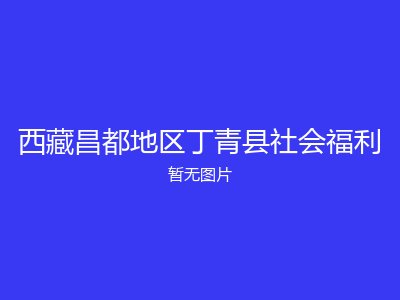 西藏昌都地区丁青县社会福利