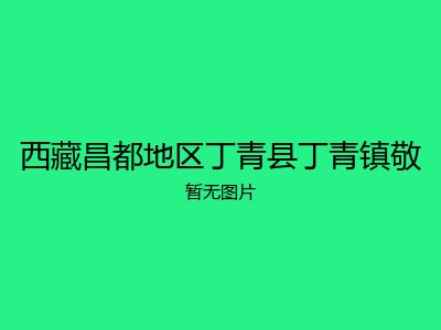 西藏昌都地区丁青县丁青镇敬