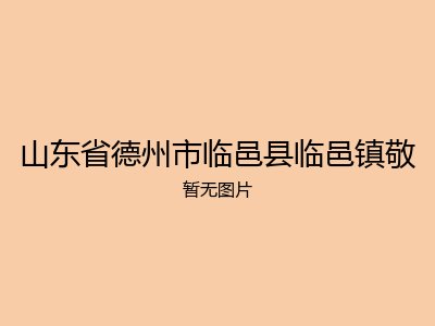 山东省德州市临邑县临邑镇敬