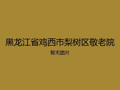 黑龙江省鸡西市梨树区敬老院
