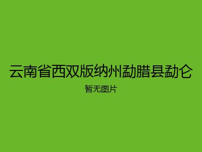 云南省西双版纳州勐腊县勐仑