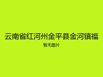 云南省红河州金平县金河镇福