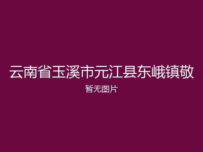云南省玉溪市元江县东峨镇敬