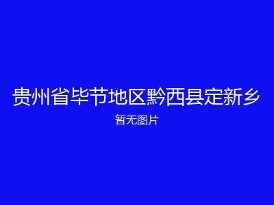 贵州省毕节地区黔西县定新乡