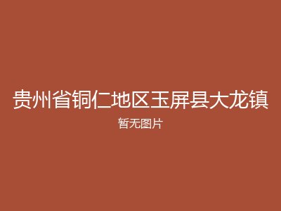 贵州省铜仁地区玉屏县大龙镇