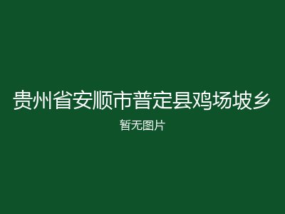 贵州省安顺市普定县鸡场坡乡
