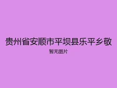 贵州省安顺市平坝县乐平乡敬