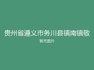 贵州省遵义市务川县镇南镇敬
