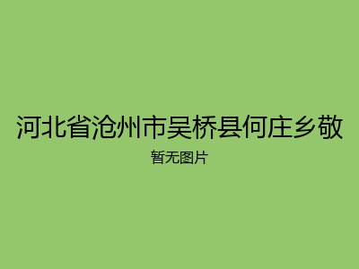 河北省沧州市吴桥县何庄乡敬