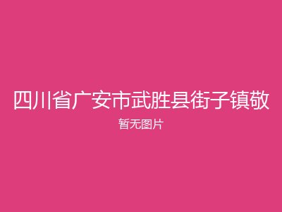 四川省广安市武胜县街子镇敬