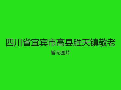四川省宜宾市高县胜天镇敬老
