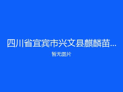 四川省宜宾市兴文县麒麟苗族乡敬老院