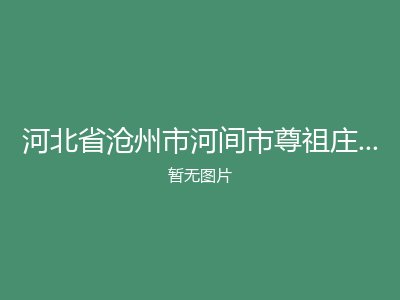 河北省沧州市河间市尊祖庄乡敬老院