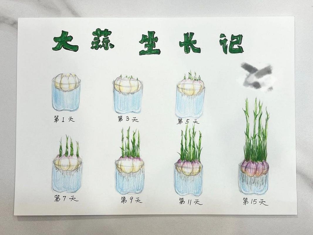 四川省南充市嘉陵区吉安镇敬老院
