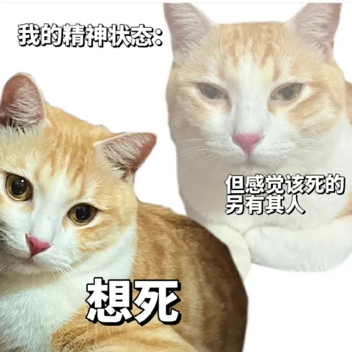 四川省德阳市什邡市红白镇养