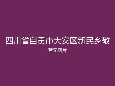 四川省自贡市大安区新民乡敬