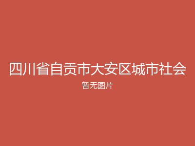 四川省自贡市大安区城市社会