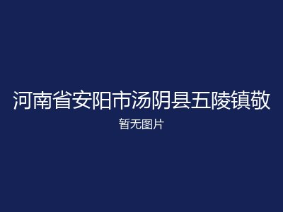河南省安阳市汤阴县五陵镇敬
