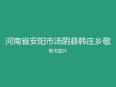 河南省安阳市汤阴县韩庄乡敬