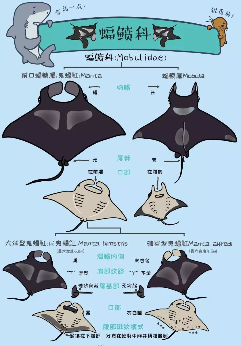 河南省安阳市滑县八里营乡敬老院